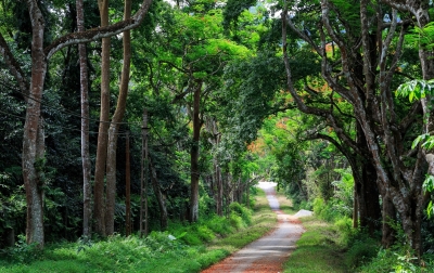 Trang An – Cuc Phuong National Park Private 1 Day Tour