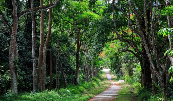 Trang An – Cuc Phuong National Park Private 1 Day Tour