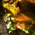 Bai Dinh Pagoda - Thien Thanh & Thien Ha Caves 1 Day Group Tour