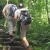 Hoa Lu – Tam Coc – Mua Cave – Cuc Phuong National Park 2 Days 1 Night Tour