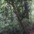 Bai Dinh Pagoda – Trang An – Cuc Phuong National Park Private 2 Days 1 Night