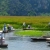 Van Long – Kenh Ga Private 1 Day Tour