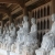 Luxury Bai Dinh Pagoda - Trang An - Mua Cave 1 Day - Private Tour