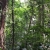 Van Long – Cuc Phuong National Park Private  1 Day Tour