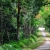 Hoa Lu - Tam Coc - Cuc Phuong National Park Private 2 Days - 1 Night Tour