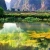 Van Long – Kenh Ga Private 1 Day Tour