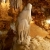 Thien Ha & Thien Thanh Caves – Cuc Phuong National Park 1 Day Tour