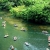 Luxury Bai Dinh Pagoda - Trang An - Mua Cave 1 Day - Private Tour