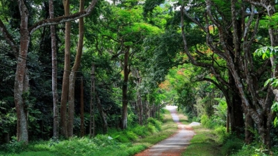 Cuc Phuong National Park In Ninh Binh