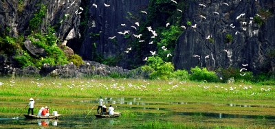 Thung Nham Bird Garden In Ninh Binh