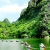 Trang An – Cuc Phuong National Park Private 1 Day Tour